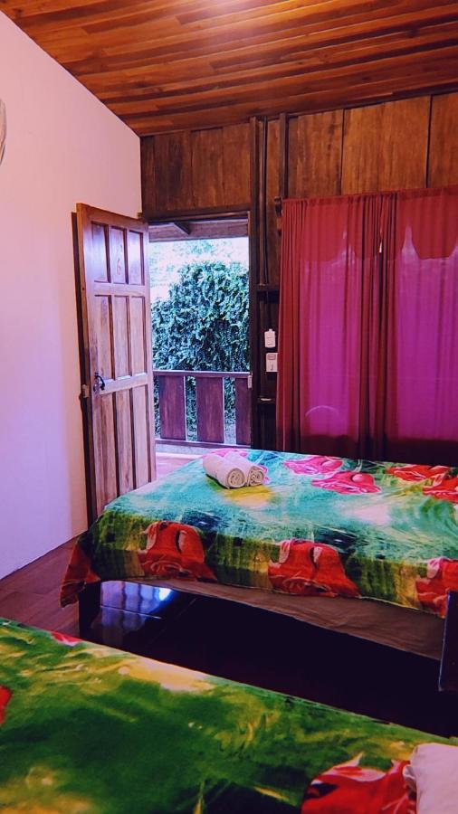 Auberge de jeunesse Alpha Arenal à La Fortuna Extérieur photo