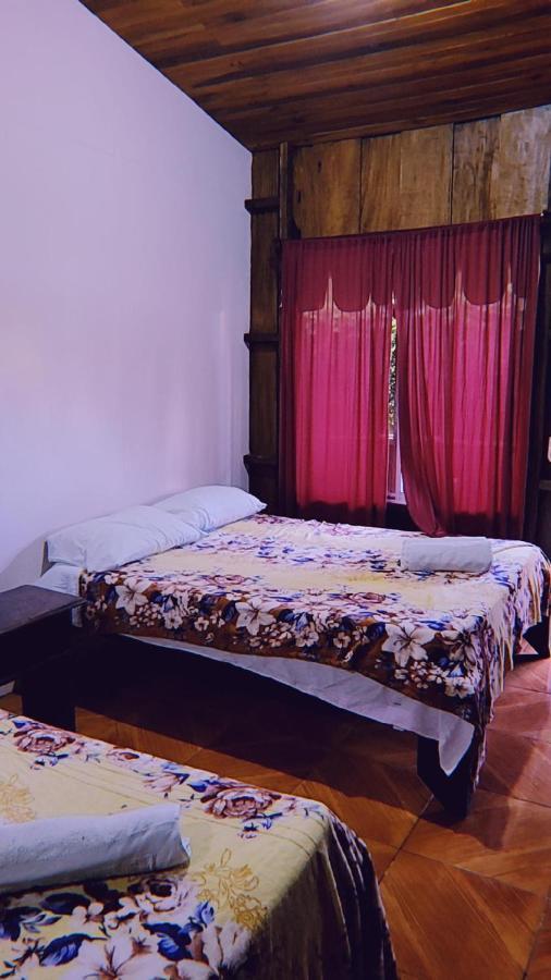 Auberge de jeunesse Alpha Arenal à La Fortuna Extérieur photo