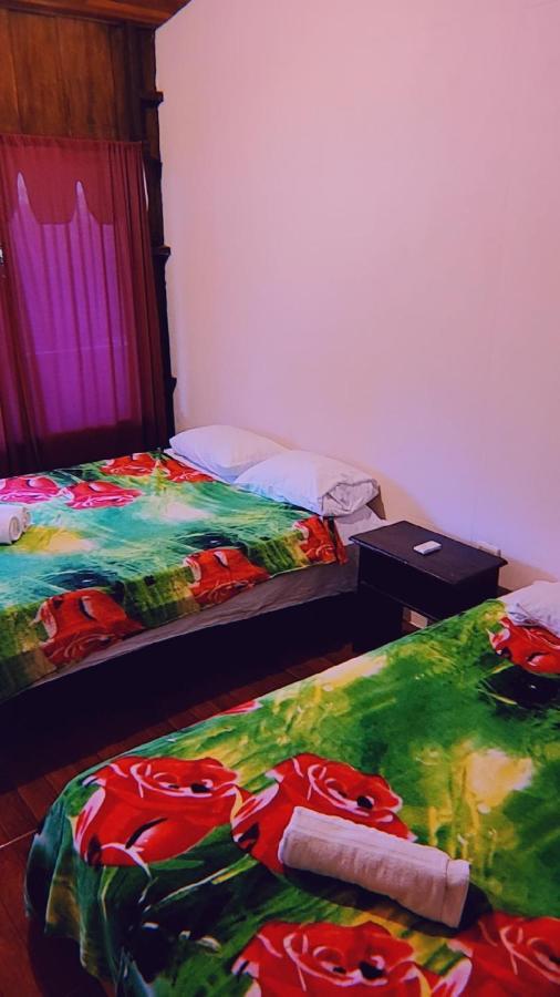 Auberge de jeunesse Alpha Arenal à La Fortuna Extérieur photo