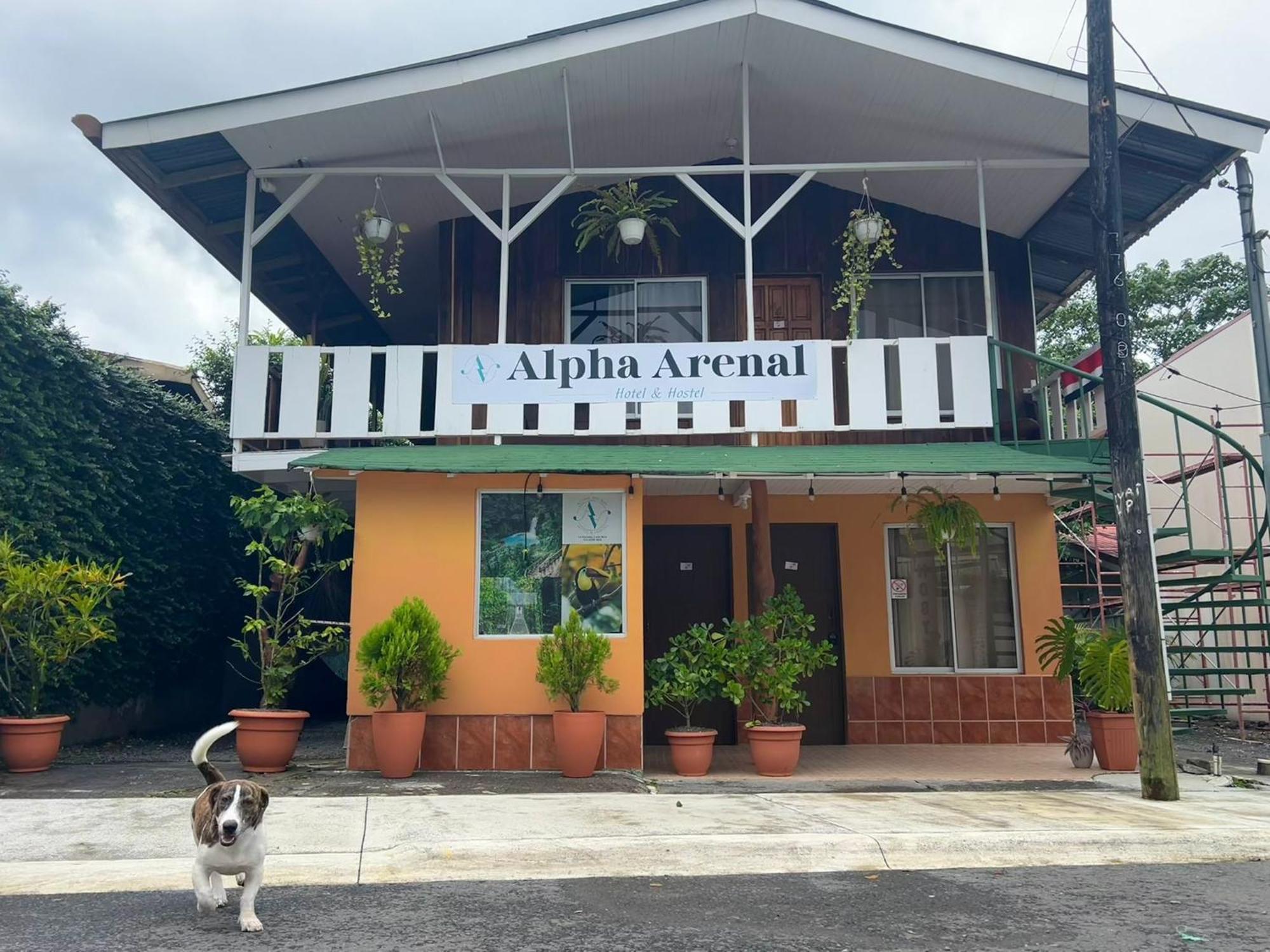 Auberge de jeunesse Alpha Arenal à La Fortuna Extérieur photo