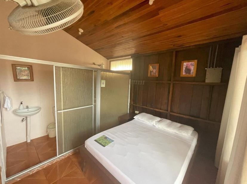 Auberge de jeunesse Alpha Arenal à La Fortuna Extérieur photo